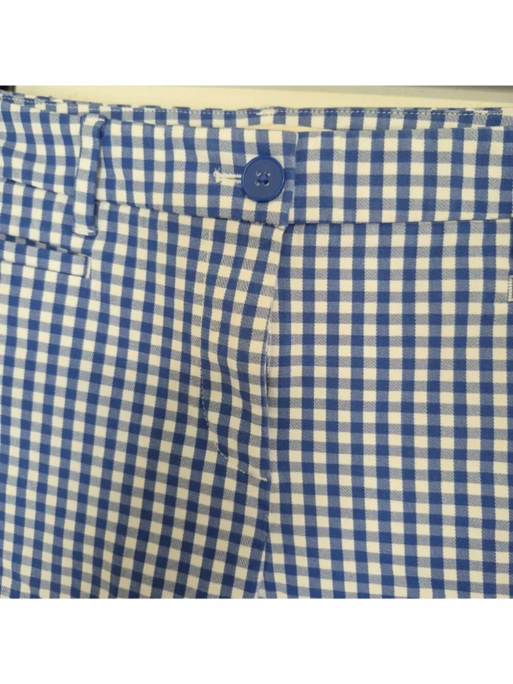 Talbots Womens Blue & White Gingham Check Ankle Pants With Embroidered Hem Size - Picture 4 of 8